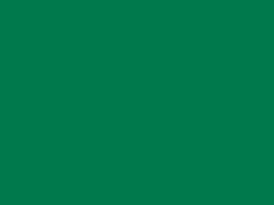 85 см № 258 яр. зеленый спираль (G) сорт-2 - купить в Копейске. Цена: 16.97 руб.
