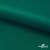 Ткань подкладочная Таффета, 19-5420, 53 г/м2, антистатик, шир. 150 см, вечнозеленый - купить в Копейске. Цена 57.16 руб.
