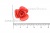 Украшение "Розы малые №1" 20мм - купить в Копейске. Цена: 32.49 руб.