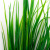 Трава искусственная -2, шт (осока 41см/8 см)				 - купить в Копейске. Цена: 104.57 руб.