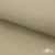 Ткань подкладочная TWILL 230T 14-1108, беж светлый 100% полиэстер,66 г/м2, шир.150 cм - купить в Копейске. Цена 90.59 руб.