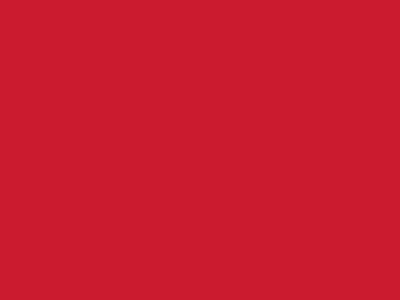 Сетка подкладочная красный, 60г/м2 (10 м/кг) - купить в Копейске. Цена 885.73 руб.