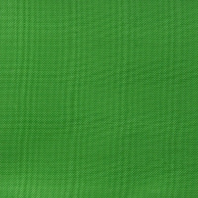 Ткань подкладочная Таффета 17-6153, 48 гр/м2, шир.150см, цвет трава - купить в Копейске. Цена 54.64 руб.