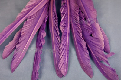 Декоративный Пучок из перьев, перо 25см/фиолетовый - купить в Копейске. Цена: 12.19 руб.