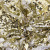 Трикотажное полотно, Сетка с пайетками, шир.130 см, #315, цв.-белый/золото - купить в Копейске. Цена 693.39 руб.
