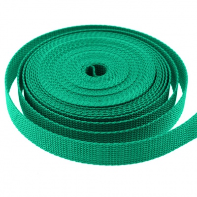 Стропа текстильная, шир. 25 мм (в нам. 50+/-1 ярд), цвет яр.зелёный - купить в Копейске. Цена: 397.52 руб.