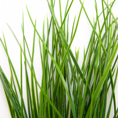 Трава искусственная -4, шт  (осока 50 см/8 см  7 листов)				 - купить в Копейске. Цена: 130.73 руб.