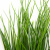 Трава искусственная -4, шт  (осока 50 см/8 см  7 листов)				 - купить в Копейске. Цена: 130.73 руб.