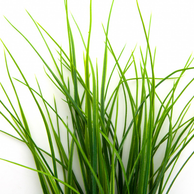 Трава искусственная -3, шт (осока 50 см/8 см  5 листов)				 - купить в Копейске. Цена: 124.17 руб.
